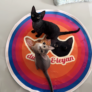 <span class=keywords><strong>Tappeto</strong></span> da compagnia personalizzato fatto a mano morbido fustello e tappetino antiscivolo soffici tappeti <span class=keywords><strong>grande</strong></span> soggiorno regalo di natale <span class=keywords><strong>per</strong></span> bambini - Product Image 4