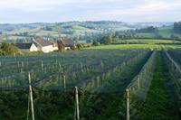Filet d'ombrage agricole vert en HDPE, 35 % d'ombrage, résistant aux UV, pour ferme, verger, serre, protection solaire