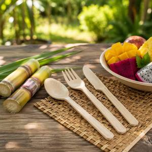 100% Plant Based Sugarcane Fiber Tableware Set Compostable Disposable Utensils Fork Knife <b>Spoon</b> for Outdoor Camping Buffet Party - Product Image 1