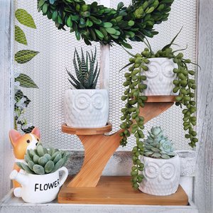 <span class=keywords><strong>Macetas</strong></span> suculentas <span class=keywords><strong>de</strong></span> búho <span class=keywords><strong>de</strong></span> cerámica decorativas, soporte para platillos <span class=keywords><strong>de</strong></span> bambú <span class=keywords><strong>de</strong></span> 3 niveles, planta <span class=keywords><strong>de</strong></span> flores <span class=keywords><strong>de</strong></span> cerámica decorativa moderna blanca, 3 uds. - Product Image 4