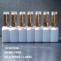 Kit semir kuku gel uv profesional, kit desain kuku profesional 2024