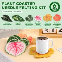 Kit complet de feutrage à l'aiguille pour sous-verres en feutre de laine, motif feuille classique, pour bricolage, fournitures de feutrage, support de tasse en forme de plante, ensemble cadeau artisanal, vente en gros