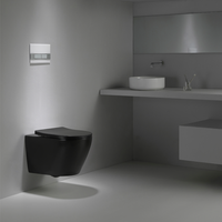 <strong>Best</strong> - <strong>Selling</strong> Simple - Style BF2416 Matt <strong>Black</strong> Ceramic Wall - Hung <strong>Toilet</strong> in 2025, Compliant with RoHS and CE Standards