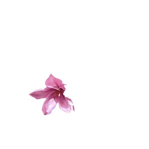 Bouquets de Clématites Artificielles Fleurs en Soie Réalistes Décorations de Mariage - Product Image 5