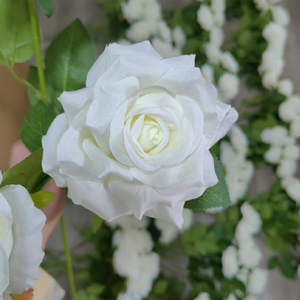 Vente en gros de rose artificielle en soie bouclée <span class=keywords><strong>Anna</strong></span> à <span class=keywords><strong>film</strong></span> unique bordeaux, roses blanches rouges bouclées à la main de qualité supérieure pour bouquet de fleurs - Product Image 3