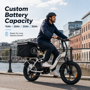 Bicicleta eléctrica con motor sin escobillas de 750W, bicicleta eléctrica personalizable de 1000W, bicicleta eléctrica de neumáticos gruesos de 48V, precio de fábrica ODM. - Product Image 1