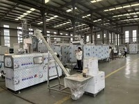 Machine automatique de fabrication de protéines de soja, extrudeuse de nuggets de soja, ligne de production de protéines de soja texturées