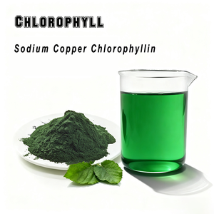 Poudre de chlorophylle de cuivre de sodium de pigment naturel - Product Image 3