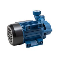 Pompes à eau électriques auto-amorçantes 1 CV pour le nettoyage et l'alimentation en eau, surpresseur domestique pour l'irrigation