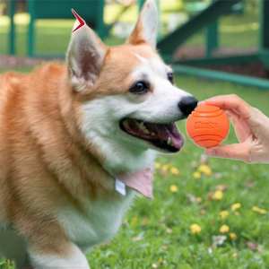 2026 HOT Eco-Friendly Solid Rubber Bite Toy Ball Pet Dog Outdoor Training Bouncing Ball Retrieve and <b>Throwing</b> Exercise - Product Image 2