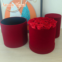 AM-PFB08 Ammy Rose éternelle en boîte ronde en velours, cadeau de fleurs éternelles pour la Saint-Valentin, la fête des mères, décoration de la maison