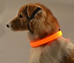 Hot Selling USB Charging <strong>Light</strong> <strong>up</strong> <strong>Dog</strong> <strong>Collar</strong> LED Pet <strong>Dog</strong> <strong>Collar</strong> and Leash Set - Product Image 5