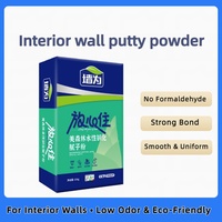 Poudre de lissage de haute qualité - Poudre de mastic pour finition lisse des murs intérieurs
