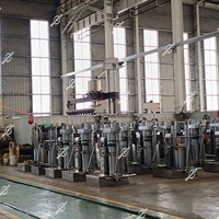 Équipement de Fabrication d'Usine Chinoise Certifié CE, Mini Presse Hydraulique d'Extraction d'Huile à Froid pour Fèves de Cacao, Machine à Beurre de Cacao pour Petites Entreprises