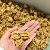 Noix entières en gros, noyaux de noix, fruits secs, noix fraîches en coque, noix de qualité en gros