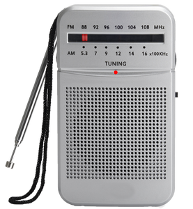 Barato costo TG 77 66 Japón portátil HiFi Mini FM AM Radio altavoz <span class=keywords><strong>MP3</strong></span> sonido TF tarjeta transmisión <span class=keywords><strong>música</strong></span> Radio - Product Image 3