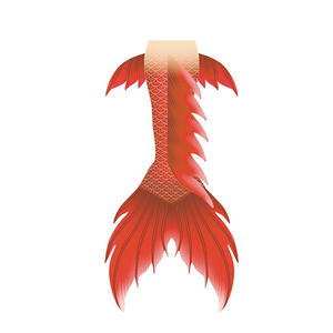 Ottimo prezzo per il nuovo Design stampato HD con pelle da <span class=keywords><strong>nuoto</strong></span> a <span class=keywords><strong>coda</strong></span> di <span class=keywords><strong>sirena</strong></span> bikini e Beachwear - Product Image 2