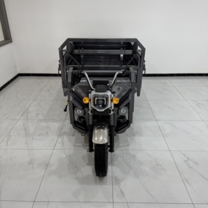รถสามล้อไฟฟ้าบรรทุกสินค้า 1.3 เมตร 650 วัตต์ ราคาถูกจากจีน สำหรับประเทศไนจีเรีย - Product Image 1