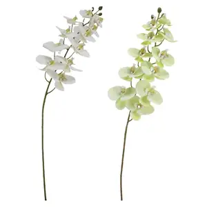 פרחים דקורטיביים רבי 3d הדפס עש סחלב גזע faux phaenopsis סניפים מלאכותיים phalaenopsis פרח סחלב