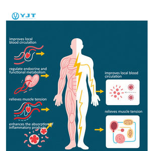Peralatan terapi frekuensi menengah penghilang nyeri terapi frekuensi menengah elektromagnetik - Product Image 3