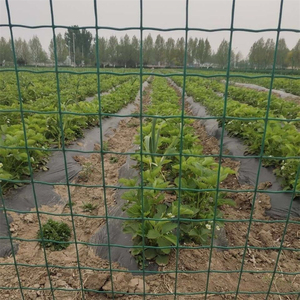 PVC Welded Euro <strong>Fence</strong> with 6 Feet Height <strong>Holland</strong> Wire Mesh Trellis Nature Wood-3D Model Service Included - Product Image 2