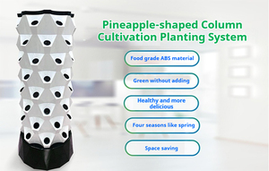 Planteuse de légumes hydroponique intelligente et écologique pour toit et balcon Machine de culture sans sol en serre multicouche - Product Image 3