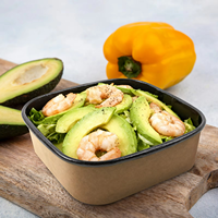 Bol à salade jetable en papier kraft enduit de PLA de qualité alimentaire biodégradable avec couvercle en papier pour aliments chauds, collations et biscuits