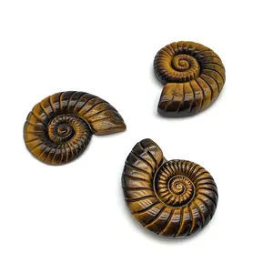 Neuankömmling Großhandel natürliche Tigerauge Ammonit schale Kristall Handwerk schnitzen Tigerauge Muschel Ammonit Fossilien für die Dekoration