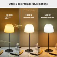 Lampe de chevet personnalisée pour chambre à coucher, métal + ABS, rechargeable par USB, fonctionne sur batterie, 3 couleurs, design moderne, petite lampe LED