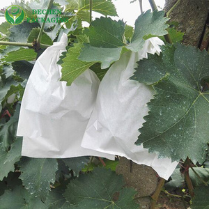 Pomegranate Bag Fruit Protection Bags Agriculture Pomegranate Bag Fruit Protection Bags Agriculture