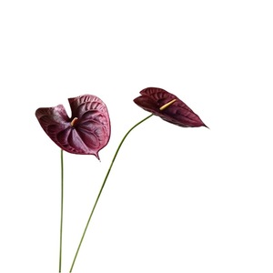 INS-style PU hand-feel floral decorations for <b>red</b> and white anthuriums, wine <b>red</b> and green anthuriums, high-end floral - Product Image 5