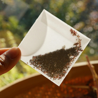 Sachets vierges personnalisés faits à la main, enveloppes carrées en papier vélin blanc pour bijoux, photos, mini-cartes, enveloppes en papier transparent