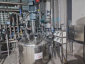 EU tiêu chuẩn blbio 5000sja 5000 lít thép không gỉ cơ khí khuấy lên men tàu áp lực tự động lớp bioreactor - Product Image 2