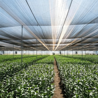 Zwarte Heavy Duty HDPE schaduwdoek 50%-90% schaduwwerking UV-gestabiliseerd voor landbouw, kas en buitengebruik