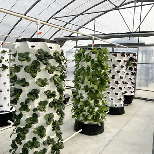 Sistema de Cultivo Aeropónico Vertical Tipo Torre de Piña para Interiores, con Bomba, 6/8/10 Niveles, Precio de Fábrica - Product Image 3