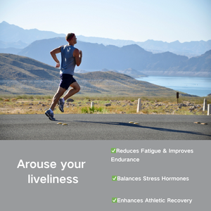 OEM/ODM Bulk Tongkat Ali Kapseln | GMP Factory Direct zur Unterstützung des Immunsystems - Product Image 2