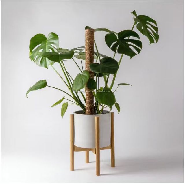 Natural Coir Moss Pole for Climbing Plants Plant Support Stick for Garden Water Filtration