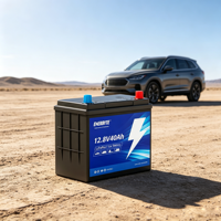 Baterai Mobil Lithium LiFePO4 Kustom 12V 24V untuk Starter Mobil