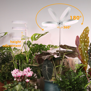 J & C Minigarden Plant Mate Mason Jar Aerogard Đèn Thực Vật Thảo Mộc Mini Vườn Trong Nhà Làm Vườn - Product Image 4