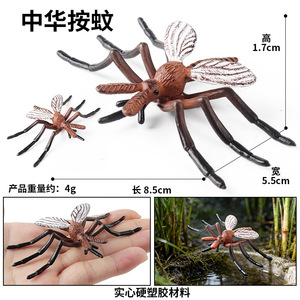 แบบจำลองยุงสำหรับเด็ก ยุงจำลองชนิด Anopheles sinensis, Aedes albopictus ของเล่นเสริมสร้างการเรียนรู้เกี่ยวกับแมลงศัตรูพืช วิทยาศาสตร์ - Product Image 3