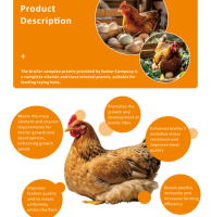 Prémélange de vitamines et de minéraux pour poulets, oies, canards – Additifs alimentaires pour animaux, stimulateur de croissance pour poulets de chair, prémélanges pour volailles