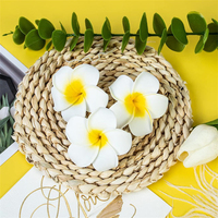 Pinces à cheveux fleurs hawaïennes, accessoires en mousse Plumeria pour femmes, décorations de fête tropicale Hawaï, cadeaux de fête Luau