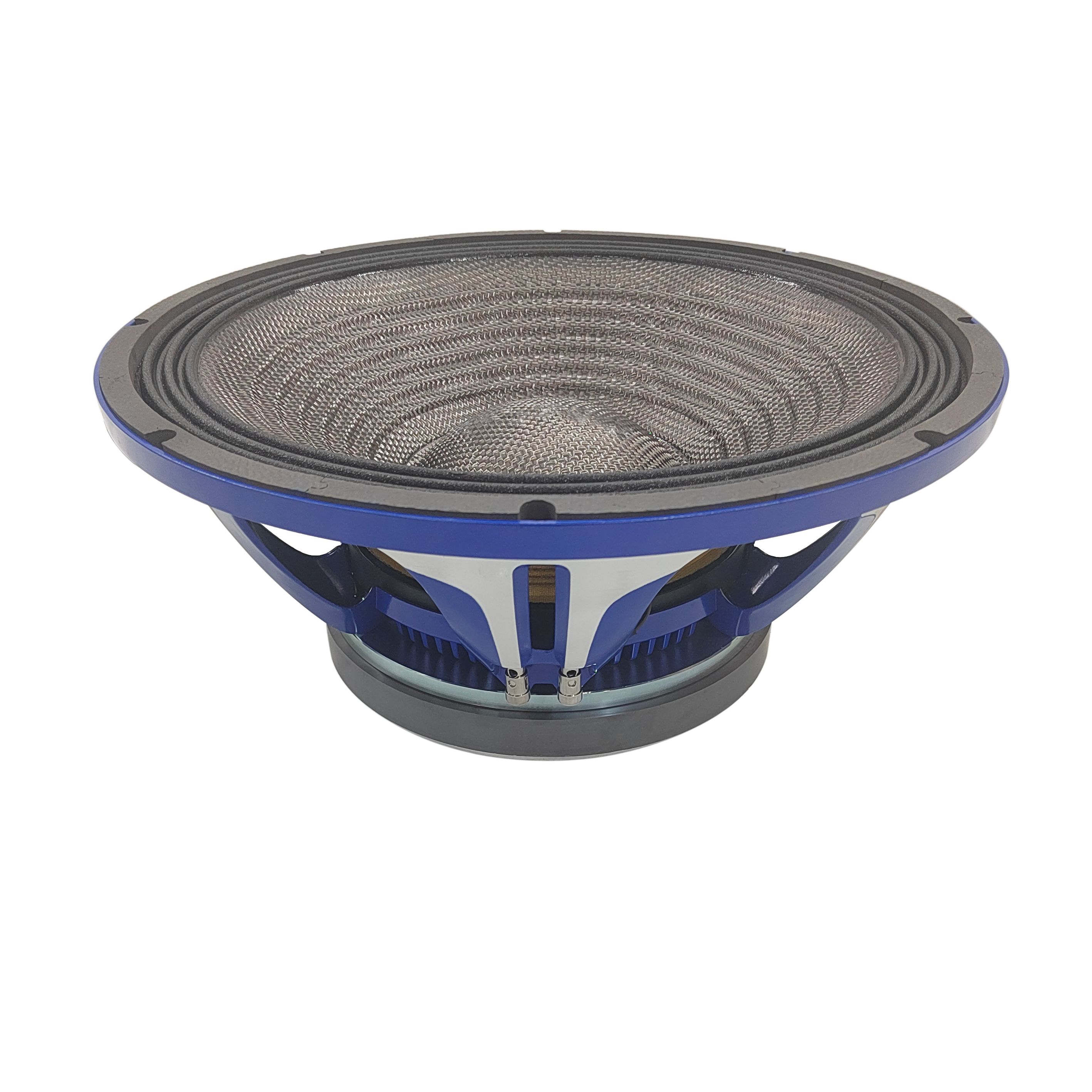 252 Speaker Professional Sound with Portable Design