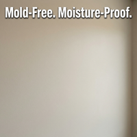 Peinture de base acrylique polymère à base d'eau, anti-humidité, anti-moisissure, scellant, sous-couche protectrice résistante à l'humidité pour murs intérieurs humides