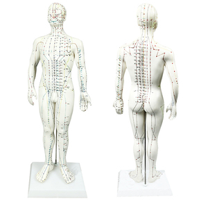 Offre Spéciale modèle d'<span class=keywords><strong>acupuncture</strong></span> chinois 50cm modèle d'<span class=keywords><strong>acupuncture</strong></span> masculine modèle d'<span class=keywords><strong>acupuncture</strong></span> méridiens humains pour l'enseignement et l'apprentissage - Product Image 5