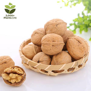 เปลือกวอลนัตแบบบางทำจากกระดาษสามารถทำจากวอลนัทออแกนิก - Product Image 1