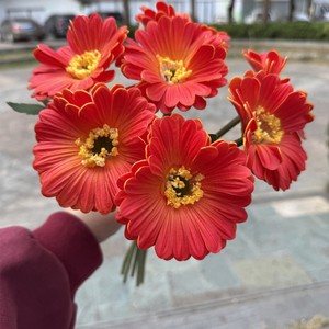 <span class=keywords><strong>Gerbera</strong></span> Artificial Africana de 7 Cabezas con Tallo, PU, para Bodas, Halloween, Decoraciones de Acción de Gracias, Ideas de Regalos para el Hogar - Product Image 4