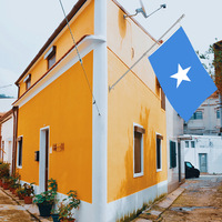 Bandera NACIONAL DE Somalia de poliéster de alta calidad con impresión digital de doble costura de 3x5 pies al por mayor con ojales de latón duraderos