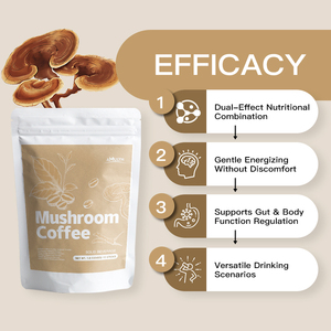 AMULYN - Café de <span class=keywords><strong>Hongos</strong></span> Orgánico de Grado Alimenticio de Marca Privada en Polvo con Mezcla de Extracto de Cordyceps, Reishi y Melena de León - Product Image 2