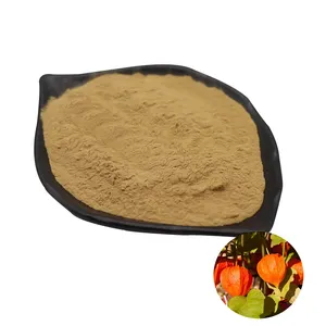 Ashwagandha Poudre Extrait de plante Ashwagandha Extrait 5% Withanolides